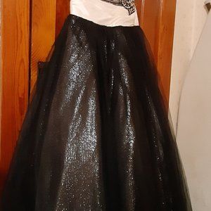 Gorgeous Alfred Angelo Prom Beaded Dress. Size 10 Black/Cream/Silver